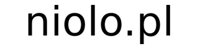 Logo Niolo