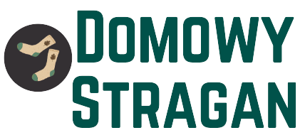 Logo Domowystragan